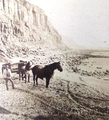 CDV.-Rock-a-Nore-under-the-cliffs.-1880.